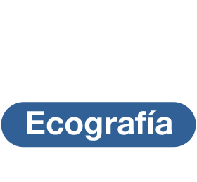Ecografía Digital