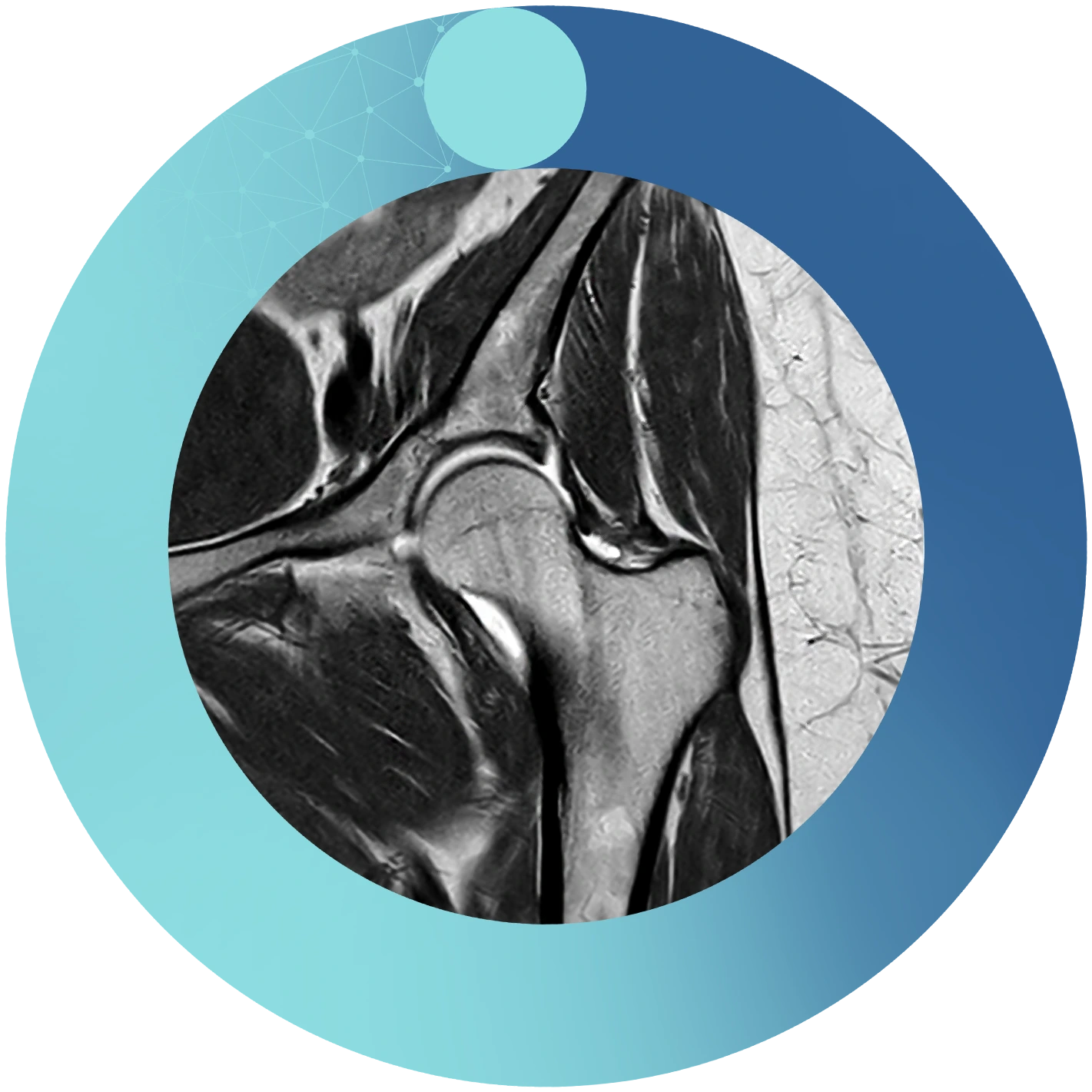 Imagen Unidad Musculoesquelético