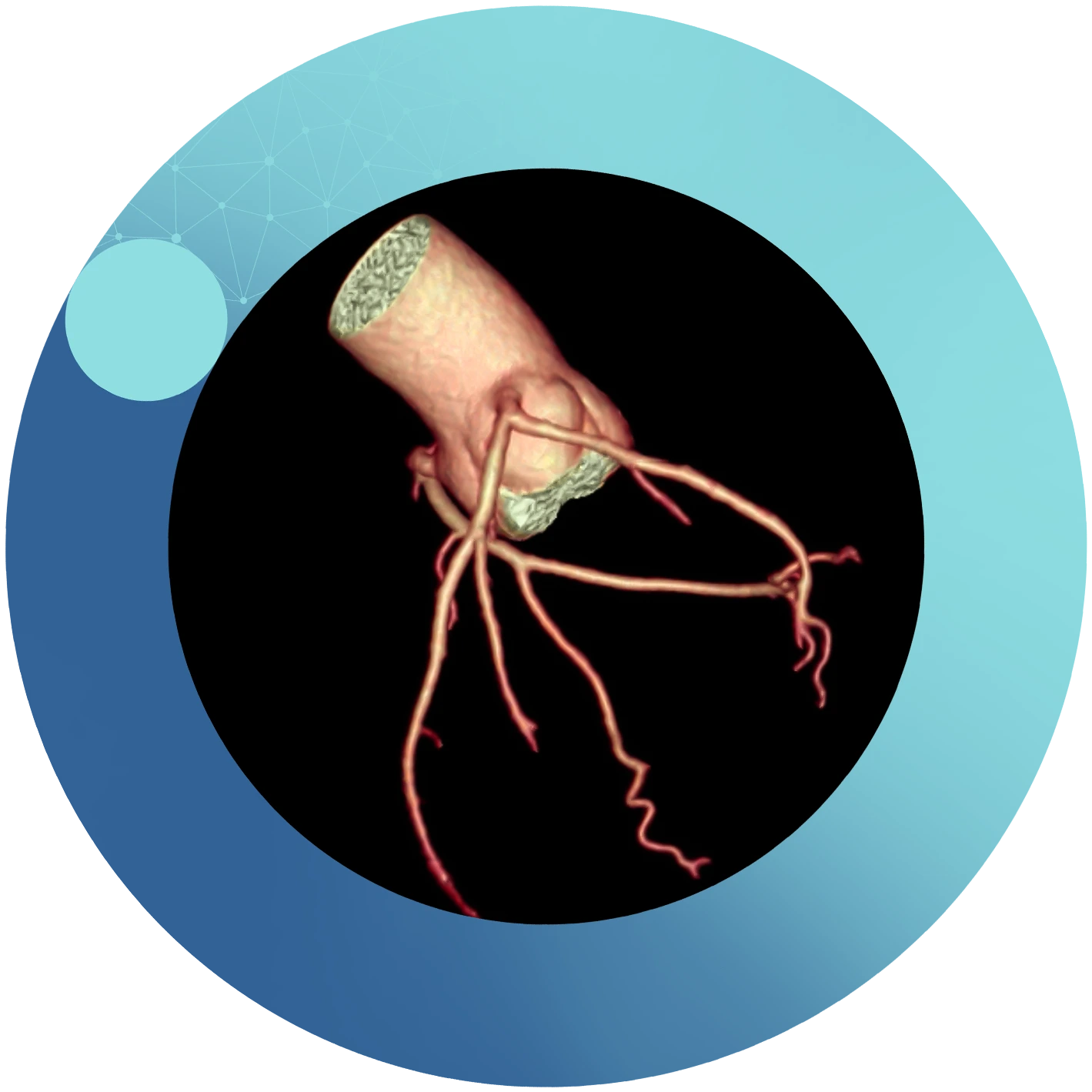 Imagen Unidad Cardiovascular